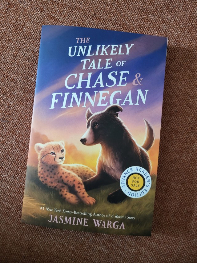 photo of Unlikely Tale of Chase and Finnegan: a baby cheetah and brown dog are sprawled on a grassy hill with a sunset behind them.