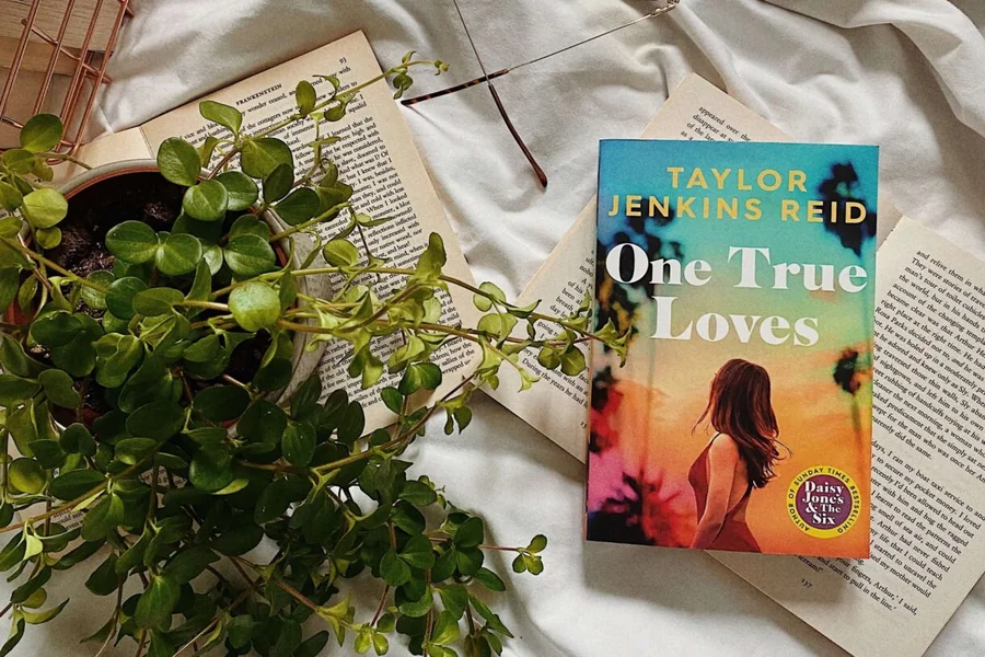 Book Review One True Loves Arc