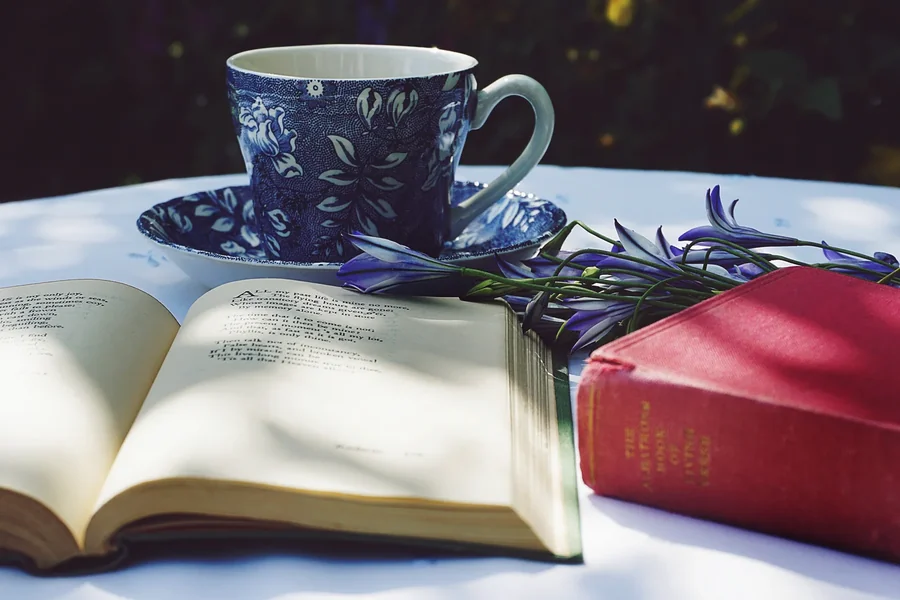 Book Review | The Afterlife of Holly Chase