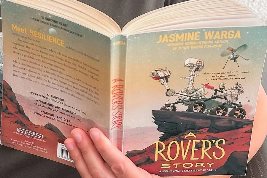 Book Review a Rovers Story Arc