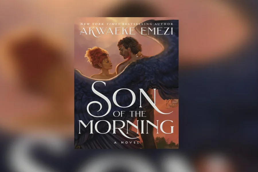 Book Review an Emotion of Great Delight Arc