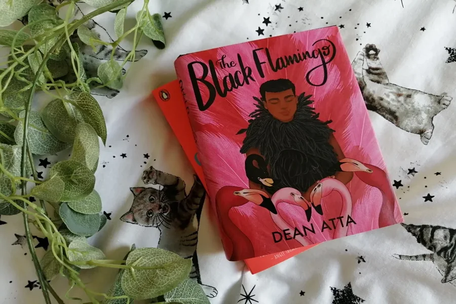 Book Review the Black Flamingo